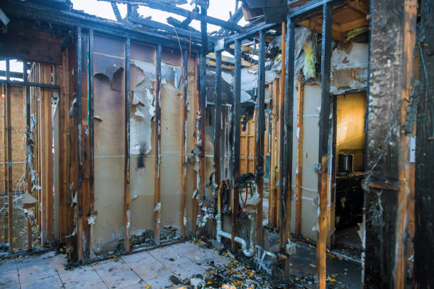 Professional Smoke Damage Removal technician working in Litchfield Park, AZ